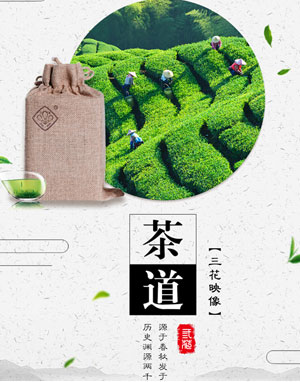 設(shè)計(jì)作品